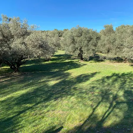 فندق مبيت وإفطار De Ponge