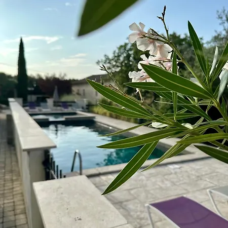 De Ponge Bed & Breakfast 4*