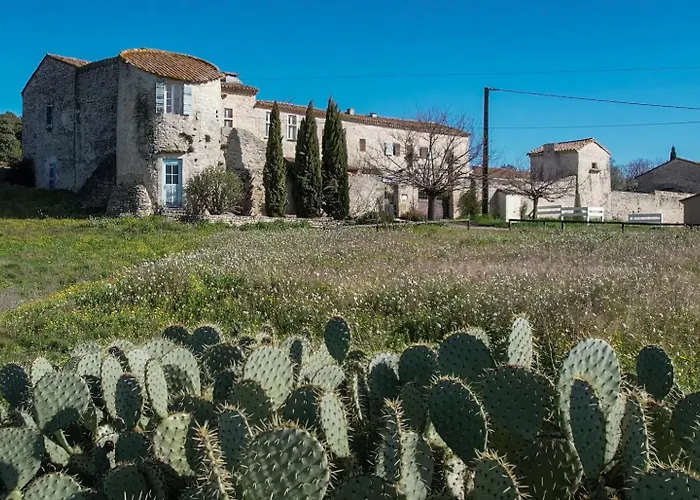 Bed & Breakfast De Ponge 4*